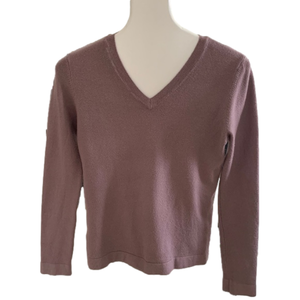 EXPRESS Plumb Long Sleeve V-Neck Sweater